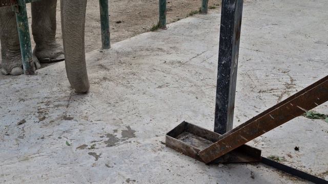 Магда угостилась огурчиками) Тайган смотреть онлайн