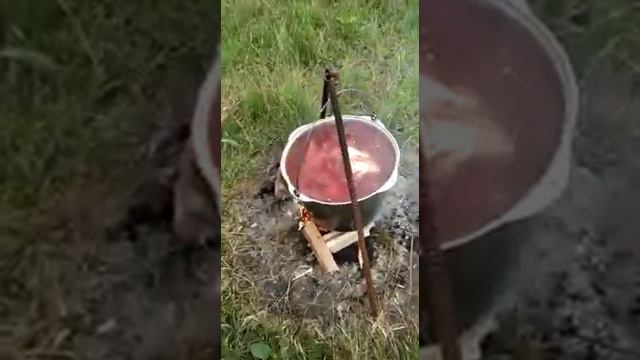 1020 год 19 июня алхан-юрт смотреть онлайн
