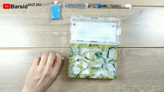 КАК ЗАСЕЛИТЬ МУРАВЬЁВ в муравьиную Ферму смотреть онлайн