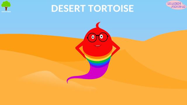 Desert Animals And Plants | Desert Ecosystem | Desert Video For Kids