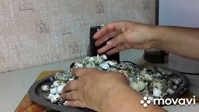 Скорлупа яиц перепелиных! смотреть онлайн