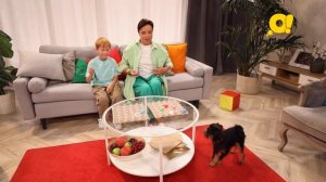 Семья на ура! Выпуск 67. Тост | Детский канал О!