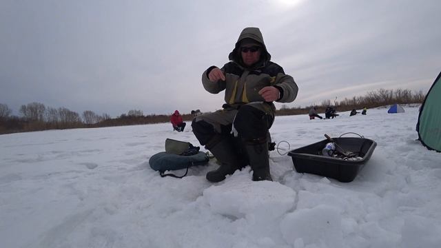 При Безрыбье и Уклейка РЫБА!!!! Березово 20 марта 2021г. Рай для начинающих Пингвинов смотреть онлайн