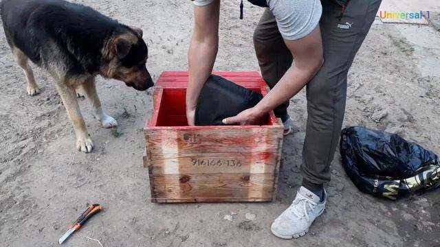 ЧЕРВИ Калифорнийский Разведение с нуля часть 1. смотреть онлайн