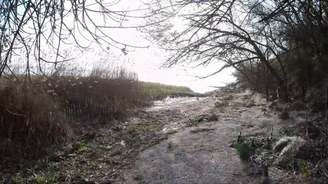 Ейск - лиман - рыбалка. Danger - много змей. смотреть онлайн