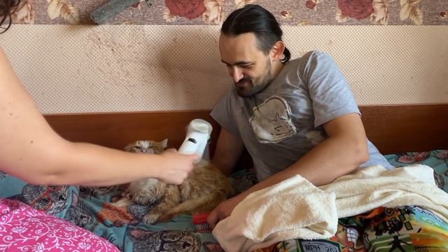 Помойные ковбои, стирка Плюшевого, отъезд Тани и другие истории!? КОТОЖИЗНЬ! смотреть онлайн