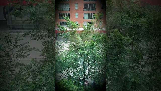 Мой мир заботится обо мне смотреть онлайн