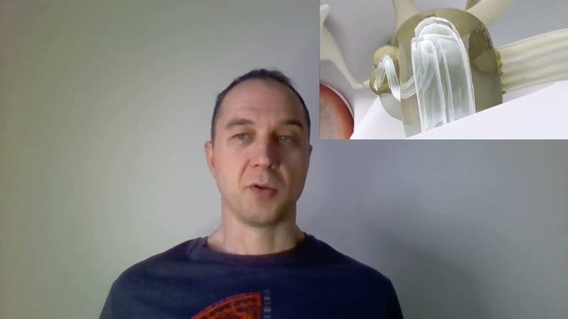 слуховой анализатор смотреть онлайн