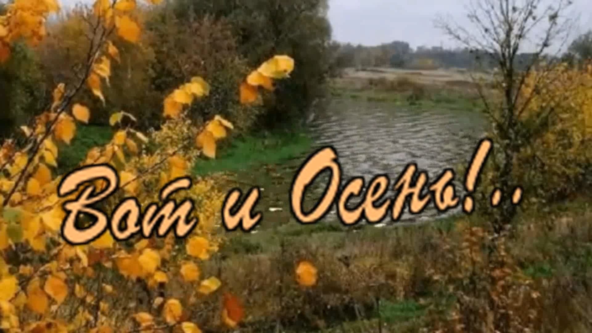 Владимир Тимофеев -Вот и осень!.. смотреть онлайн