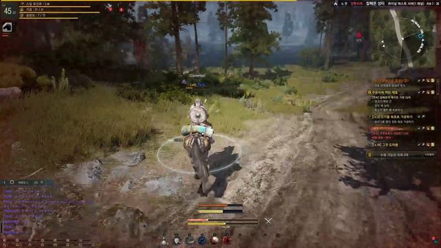 Black Desert Online - последний стрим 3 ЗБТ Кореи - 43-46 level - last stream 3 CBT от Fenk смотреть онлайн