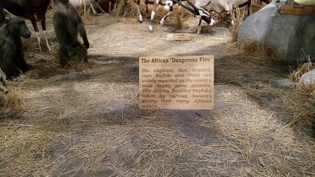 Safari Display - Cabela's Bass Pro Shop - Hamburg, Pennsylvania смотреть онлайн