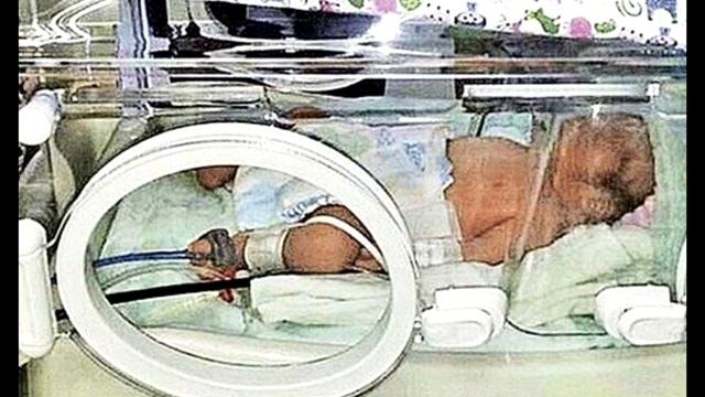 Пёс из последних сил тяжёлый пакет до самого порога, открыв его, женщина впала в ступор смотреть онлайн