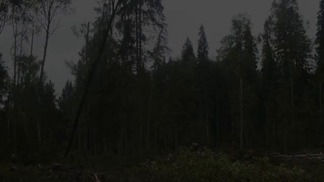 На полустанке (лесоповал). Черновик смотреть онлайн