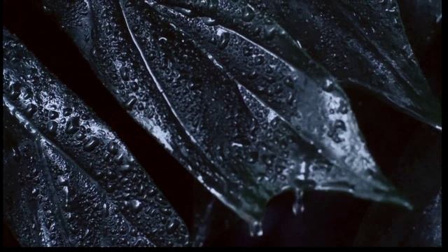 Верните мне меня смотреть онлайн