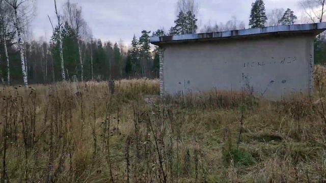 Заброшенная охотничья база / мечта мужа / смотреть онлайн