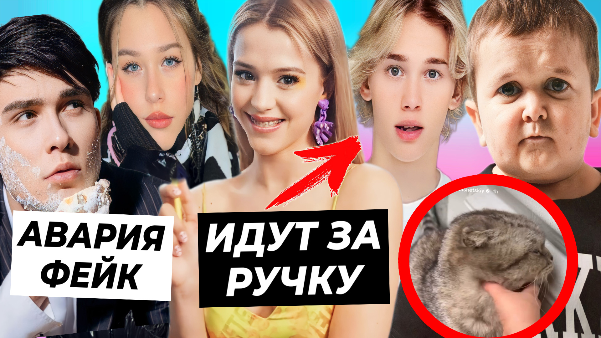 Юля сбежала к Дане / Хасбика отменяют из-за кота / Постанова от Жени Лизогуба и Миланы Некрасовой смотреть онлайн