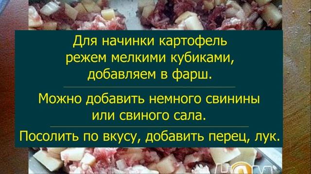 Зоопарк и Дикие Животные