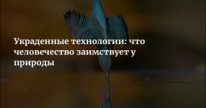 10 Технологий украденных у животных