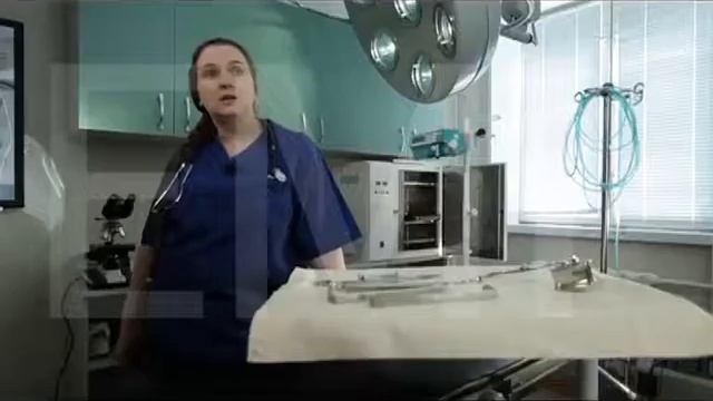 Стерилизация кошек.