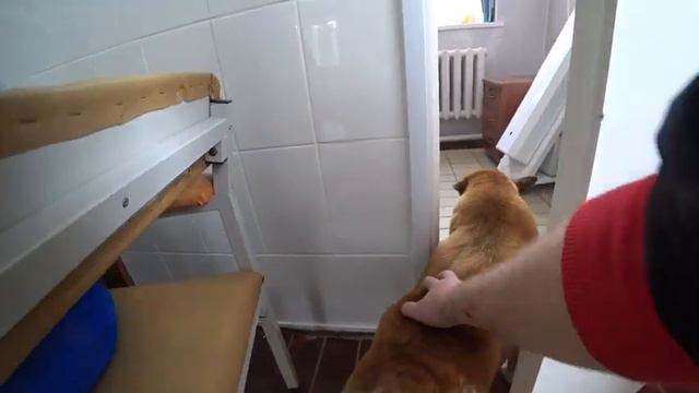 РАК НЕ ЩАДИТ НИКОГО... смотреть онлайн