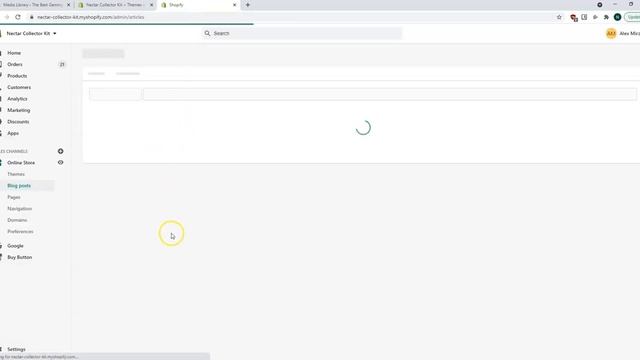 How to Find Image Alt Text on WordPress and Shopify (Product Page and Blog Pages) смотреть онлайн