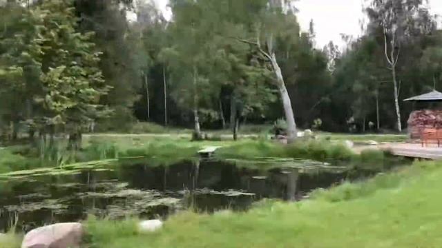 Прекрасная поездка на малую родину. Город Чухлома, Костромская область. смотреть онлайн