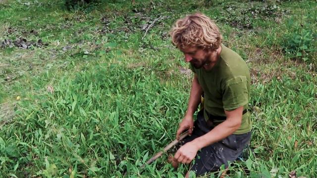 The Best Way To Clear Aspen Shoots | Slåttergubben