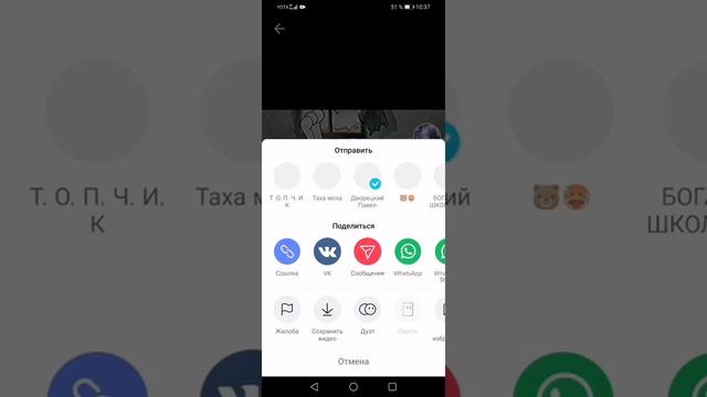 Как паставить живые обои из тик тока смотреть онлайн