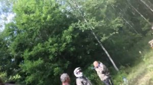 Stels Gepard 800 или РМ 800  что лучше?