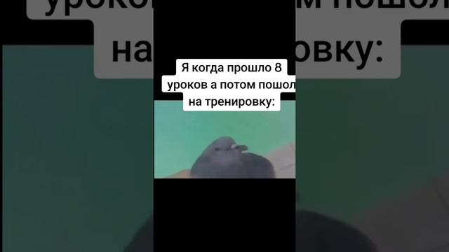 Я после 7-ми уроков и тренировки смотреть онлайн