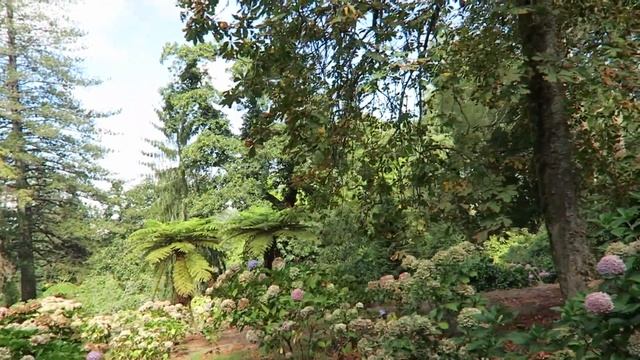 SECRET CAVES | Quinta da Regaleira | SINTRA VLOG #2 смотреть онлайн