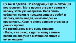 Вася Без Комплексов и Свинья В Шлеме! Анекдот Дня! Юмор! Смех! Позитив!