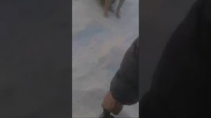 Прокачать воздух у печки, у Ниссан - Альмера 2017 год. Как?