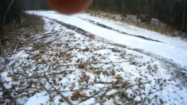 Почему деревья погнутые? Поход в лес [часть 2] смотреть онлайн