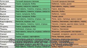 Применение меда в лечении геморроя