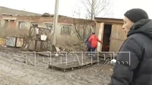 Сотни тонн картошки свалили гнить на поля в Арзамасском районе