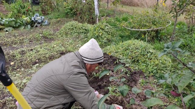 Устройство компостной органической грядки смотреть онлайн