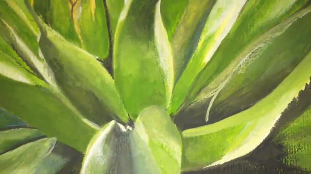 Agave смотреть онлайн