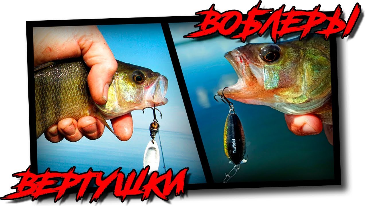 Ловля окуня с лодки на воблеры и вертушки смотреть онлайн