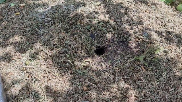 2 принципа ПОВЫШЕНИЯ УРОЖАЙНОСТИ плодовых деревьев. Как получить хороший урожай с яблони, сливы смотреть онлайн