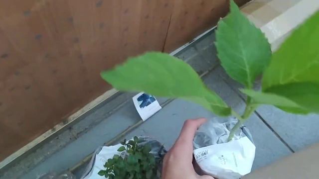 Отзыв Агромаркет ( відгук) смотреть онлайн