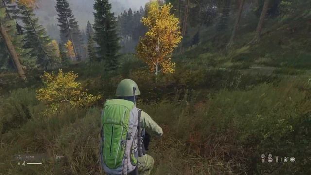 DayZ_20231113160037 смотреть онлайн