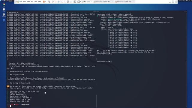 Owasp ZAP - Ubuntu server + Wodpress смотреть онлайн