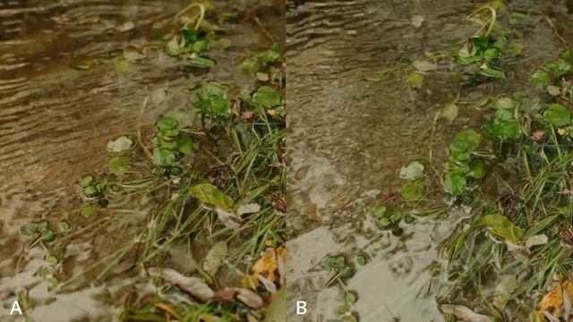 SONY FX30 vs FX3 - Side By Side Blind Video Comparison Test - 4K 60FPS - For Cinematic Videography! смотреть онлайн