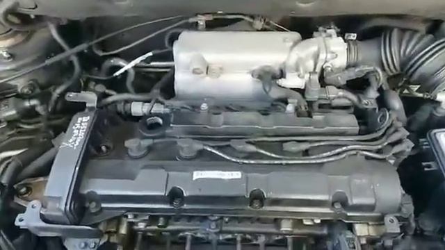 Разборка Kia Sportage JE 2007 2.0i G4GC МКПП 2WD KNEJE55226K284815 смотреть онлайн