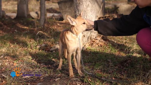 Глафира смотреть онлайн