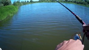 #рыбалка на спиннинг