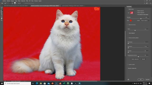 ✴️ como quitar FONDO en photoshop 2020 de forma sencilla смотреть онлайн