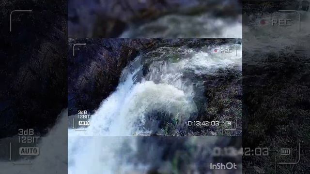Пение птиц, шум водопада релаксация , медитация -Birdsong, waterfall noise relaxation, meditation. смотреть онлайн