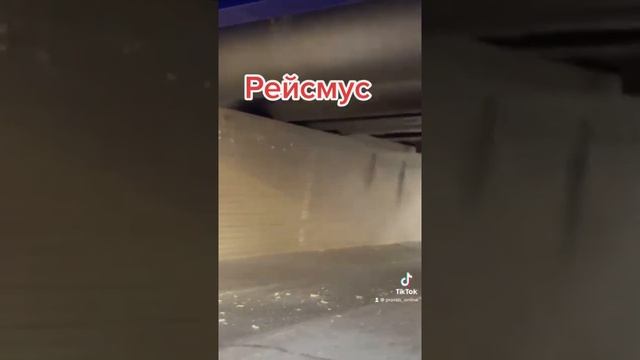 Как работает рейсмус строганная доска обработка дерева shorts смотреть онлайн